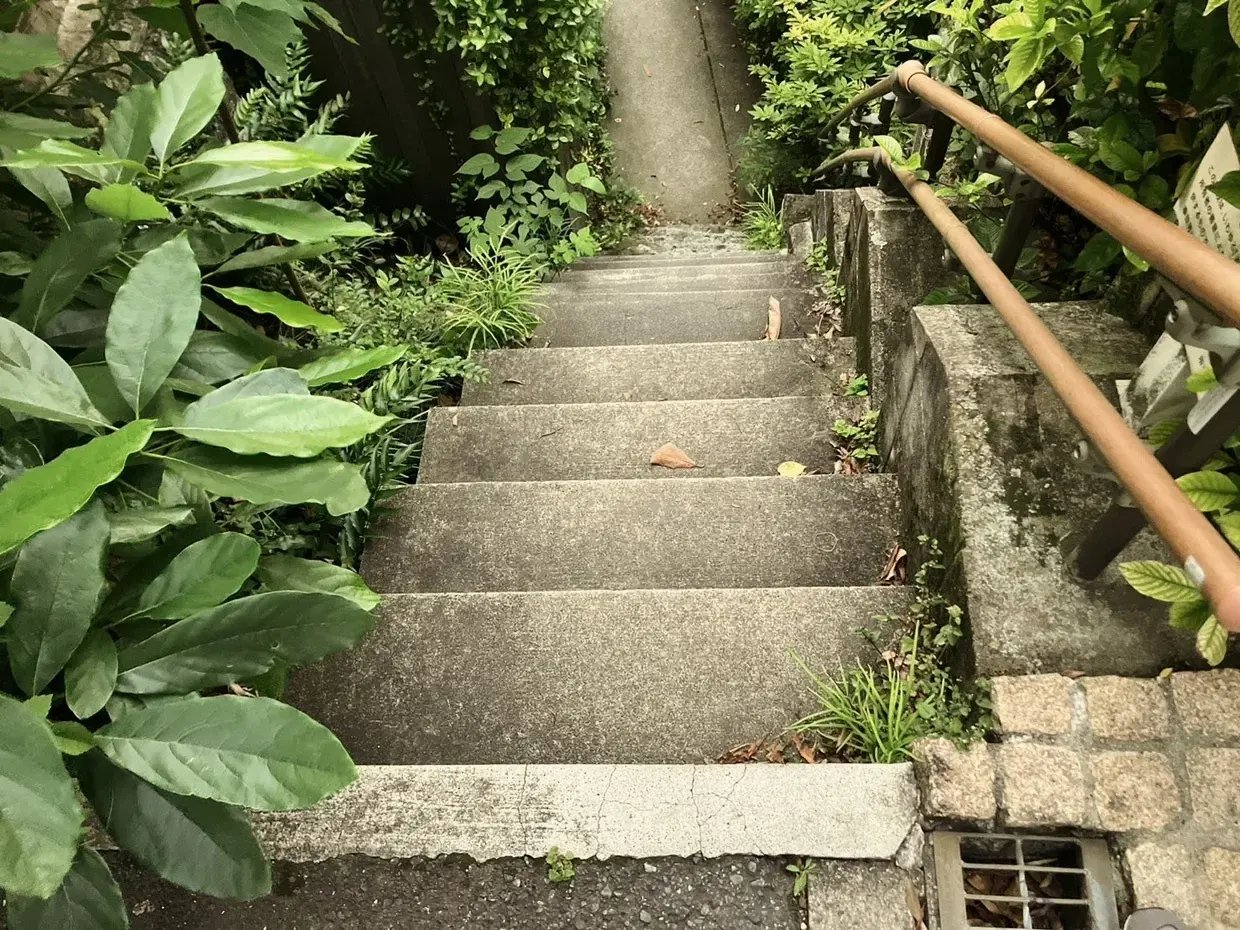 1716587704139-lRngxvKlv8