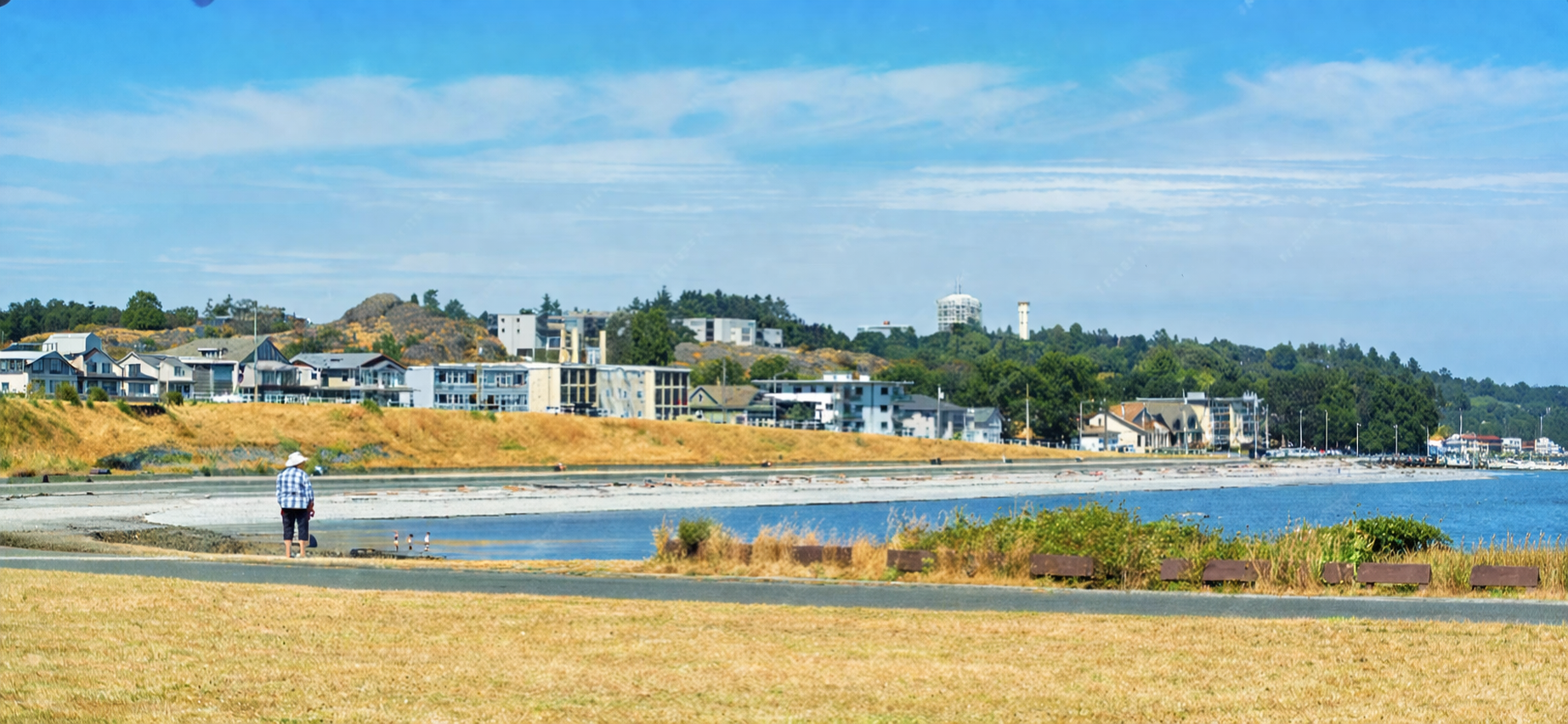 山形市篭田ライブカメラの概要と活用方法