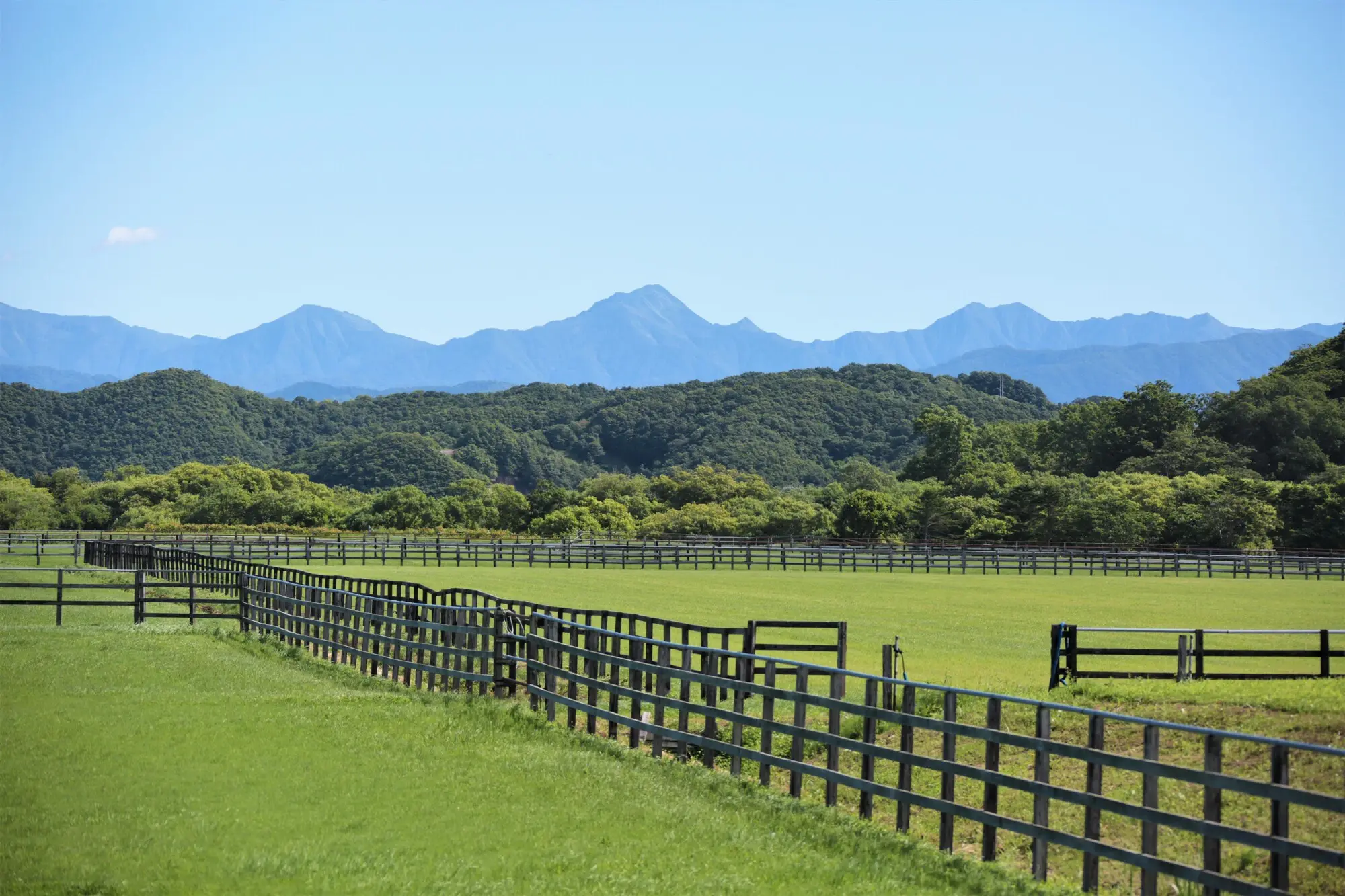 【北海道新ひだか町の事例に学ぶ】何気ない北海道の街角が、ファンを生む新ひだか町静内緑町ライブ